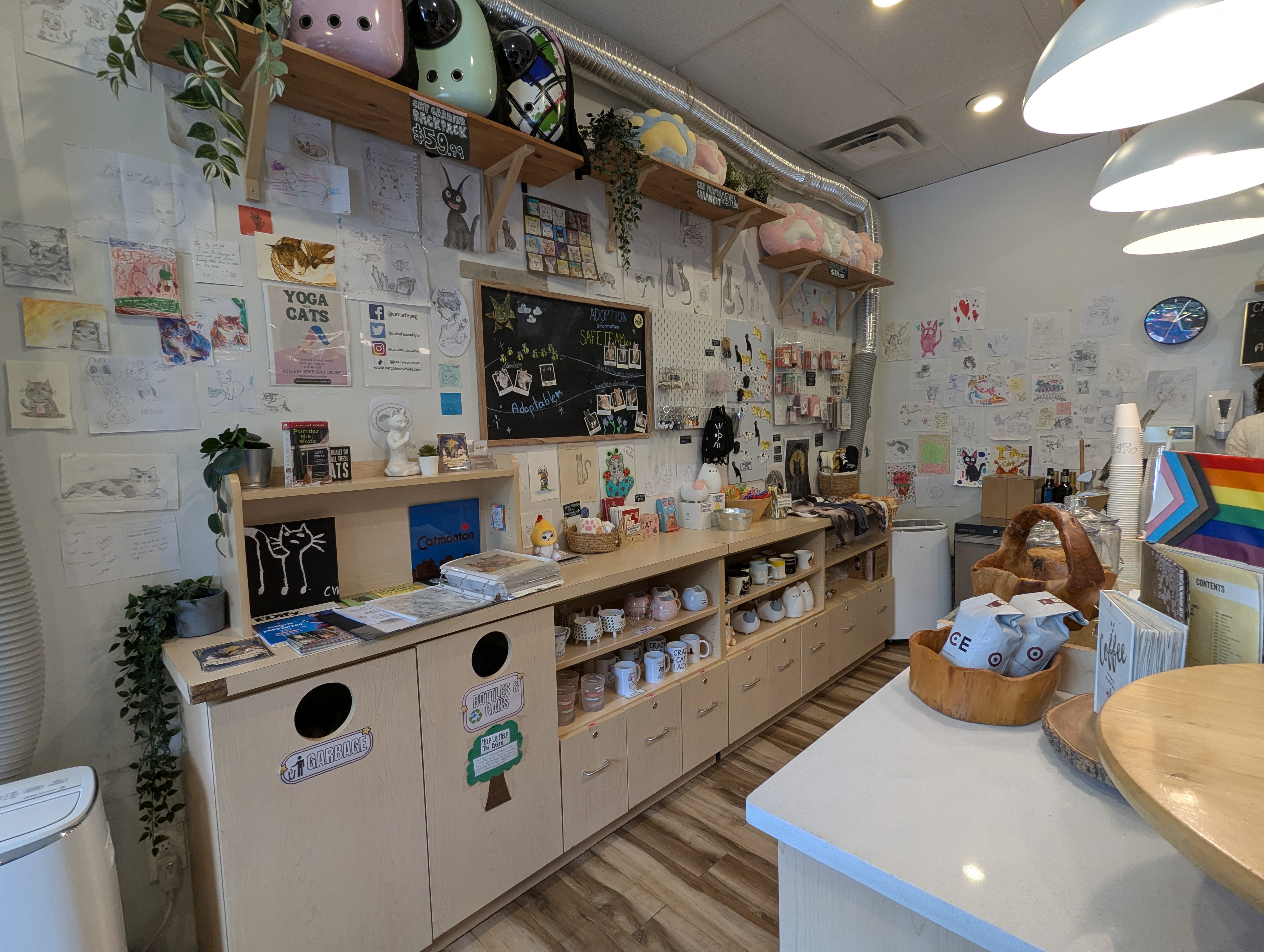 Birthday Trip to Canada, Cat Cafe, Edmonton